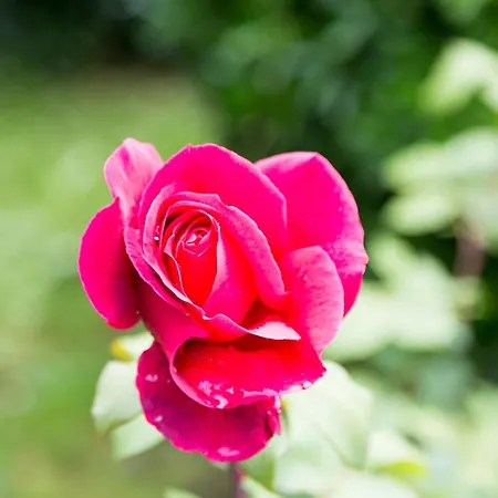 아파트 Viviendas Rurales Fuente Domingo