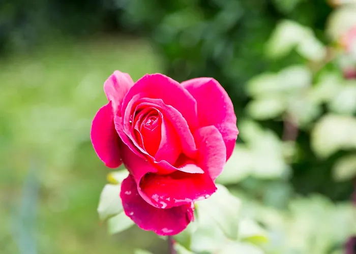 Lägenhet Viviendas Rurales Fuente Domingo